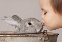 Húsvéti nyuszis fotózás